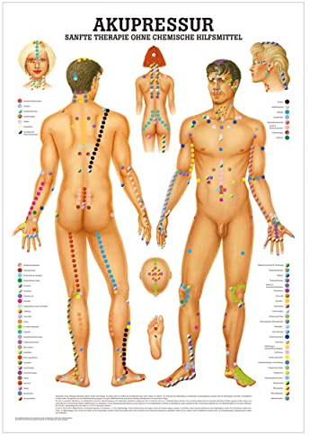 Rüdiger Akupressur Lehrtafel Anatomie 100x70 cm medizinische Lehrmittel