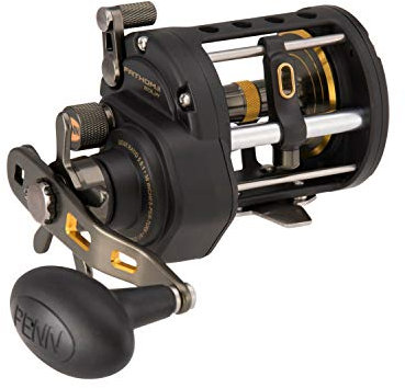 PENN Fathom® II Level Wind, Saltwater Fishing Reel, Conventional Reels, Sea - Nearshore/Lake Fishing, Shore and Kayak Fishing, Unisex, Black Gold, 20 | Right Hand