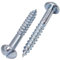 SKIR'CO (50 pièces) Vis à Bois Acier Zingué 4.0 x 30 mm, Vis à Bois Tête Ronde Fendue, Vis DIN 96