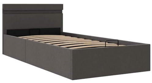 Generisch Kangmusi Bett mit Bettkasten Hydraulisch LED Dunkelgrau Stoff 90x200 cm, Grau 285600