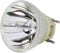azurano Beamerlampe für OPTOMA SP.7G901GC01 BL-FU240H BL-FU240G Ersatzlampe Projektorlampe