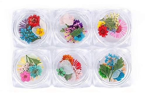 Dry Flower Nail Art, Real Flowers for Nails, 3D Nails Stickers with Nature Dry Flowers in Mix and Match
