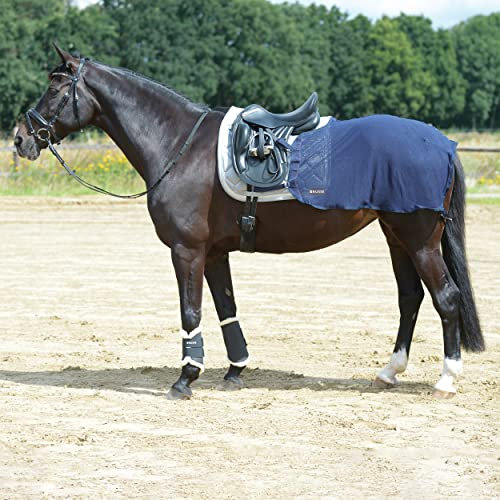 Busse