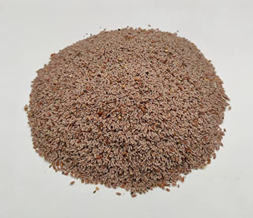 Getrocknete Flohsamen 85g - 1,95kg Plantago Indica (85 gramm)