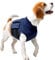 MPS Medical Pet Shirt - TOP, Oberkörper Shirt für Hunde, S
