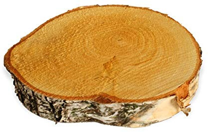 matches21 HOME & HOBBY Holzscheibe zum Basteln oder Dekorieren - 1 Stück naturbelassene Baumscheibe aus Birkenholz mit 15-20 cm Durchmesser - runde Holz Birkenscheibe als Deko Holzplatte Holzdeko