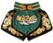 MUAY NATION Muay Thai Shorts für Männer Frauen Slim Cut MMA Boxshorts Training Kickbox-Kleidung Kampfsport-Shorts (DE/NL/SE/PL, Alphanumerisch, XL, Regular, Regular, Grün)