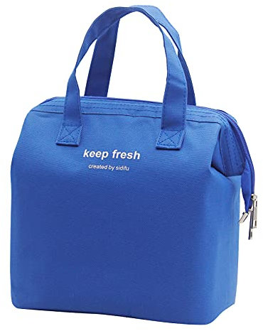 Mziart Isolierte Lunch-Tasche, einfache Bento-Kühltasche, Lunchtasche für Lunchbox für Damen und Herren, Erwachsene, Picknick, Arbeit, Wandern, Strand (blau)