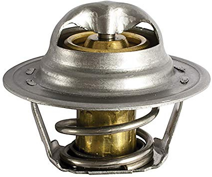 FAE 5202992 Thermostate