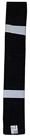 Lisaro kampfsportgürtel Karate Judo Taekwondo Ju Jutsu BJJ Gürtel Gr. 160-300 cm (schwarz, 260)