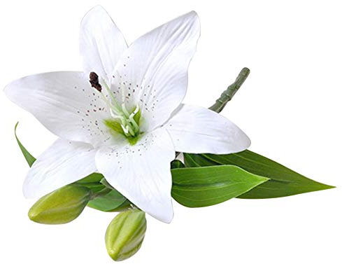 1 fleur de lys artificielle, pour maison, bureau, café, mariage, décoration de fête