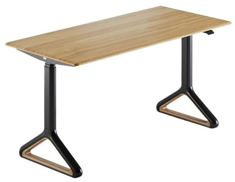 ZENGXJYCQINGJIANG Gaming Desk Adjustable Height Electric Standing Desk, Modern Writing Table Workstation, Wooden Desktop Sit Stand Up(Natural,M)