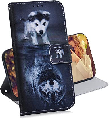 TIANCI Case for OPPO Find X3 Neo/Reno5 Pro+ 5G, Animal Painted Wallet Phone Case, Magnetic Buckle Card Slot Flip Cover for OPPO Find X3 Neo/Reno5 Pro+ 5G Case PU Leather, Wolf and Dog