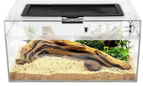 Clioran Terrarium und Amphibien Starter-Set für Reptilien, Lebensraumkäfig, 17,8 x 30 x 15 cm, geeignet für die Aufzucht von Eidechsen, Schildkröten, Schlangen, Chamäleons, Springspinnen
