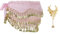 BellyLady Goldmünzen Bauchtanz Hip Schal Tanzgürtel Gypsy Armband Rosa