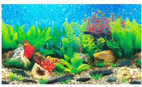 yueXinCh Aquarium Background Underwater Poster Double-sided Pattern Fishbowl Stickers Fish Tank Wall Decorations Sticker PVC Coral Aquarium Decor Backgrounds Underwater Poster (30*62, water plants-B)