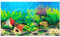 yueXinCh Aquarium Background Underwater Poster Double-sided Pattern Fishbowl Stickers Fish Tank Wall Decorations Sticker PVC Coral Aquarium Decor Backgrounds Underwater Poster (30*62, water plants-B)