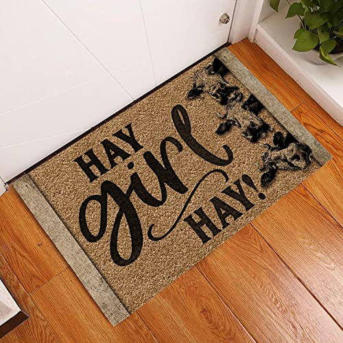NA Fussmatte Aussen Haustür Hay Girl Hay Cow Fußmatte für den Innen- und Außenbereich, Willkommensmatte, Heimdekoration, lustige Fußmatte, Geschenkidee Schlafzimmer deko Wohnzimmer