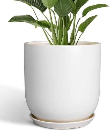 SUNPOTFOR Blumentopf 30,5 cm – Keramiktopf für Pflanzen Indoor Outdoor Großer Pflanztopf mit Ablaufloch und Untersetzer, Mid-Century Moderner Blumentopf Zylinder Weiß