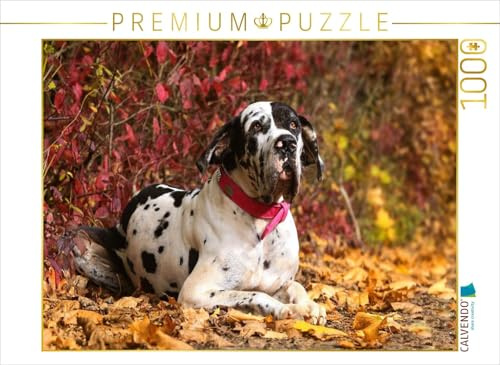 CALVENDO Puzzle EIN Motiv aus dem Kalender Deutsche Doggen - Sanfte Riesen | 1000 Teile Lege-Größe 64 x 48 cm Foto-Puzzle für glückliche Stunden