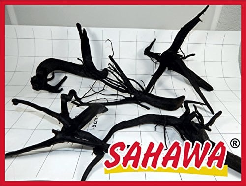 Sahawa® Moorwurzel, rote Moorwurzel, Moorkienwurzel, Moorkienholz, Garnelenbaum (Gr.2 25-30 cm)