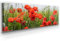 Panorama Leinwand Mohnblumenfeld - als 150x50cm großes XXL Leinwandbild. Wandbild als Hintergrund und Deko für Wohnzimmer & Schlafzimmer. Aufgespannt auf Holzrahmen