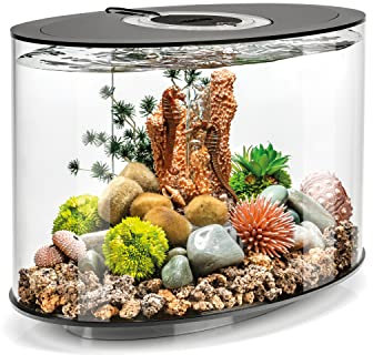 biOrb LOOP 15 LED Aquarium, 15 Liter - Acryl-Aquarium, Komplettset inklusive Lichteinheit und patentiertem Filtersystem, 360 Grad-Modell