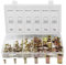 CCLIFE 150 Pezzi Assortimento di Dado filettato per rivetto, in acciaio al carbonio, dadi filettati a testa piatta, M3 M4 M5 M6 M8 M10