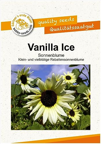 Blumensamen Vanilla Ice Sonnenblume Portion