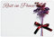 celloexpress Rest in Peace (Maroon) Flower Message Cards - 60mm x 90mm - Bereavement Florist Card Sympathy Condolences Notes (Pack of 10)