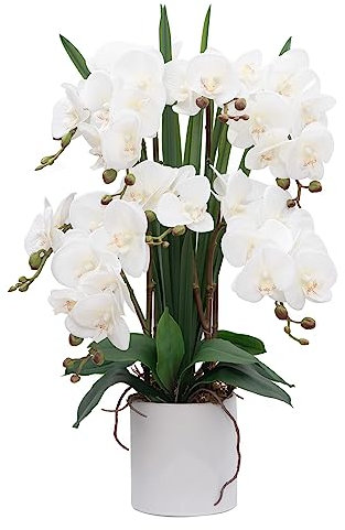 CXGS Künstliche Orchideen, Real Touch-Qualität, Kunstorchideen in Keramikvase, 53 cm, künstliche Phalaenopsis-Blume für Kunstblumenarrangement, Heim- und Innendekoration, Weiß
