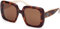 Sonnenbrillen Moncler ML0259 52H DARK HAVANA 53/22/140 WOMAN
