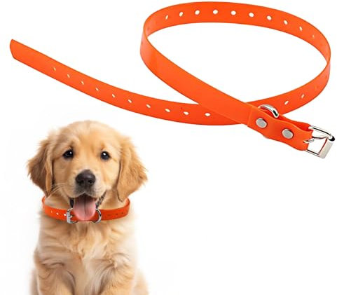 Wasserdichtes Hundehalsband, verstellbares TPU-Halsband, Schnalle, passend für Bellen, Schock, Trainingshunde, Orange