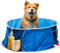 Coco Jojo Pop Up Pet Bath Dog Pool Large