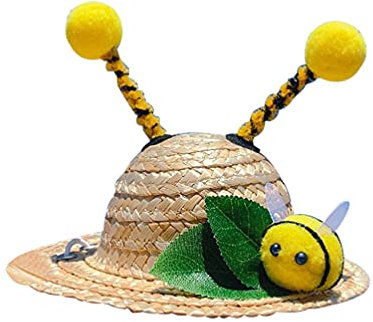 VALICLUD Pet Stroh Hut mit Biene Hund Katze Sombrero Hut Kappe Pet Kopfschmuck Outfit Party Prop Kostüm für Welpen Hund Katze Kleine Tiere