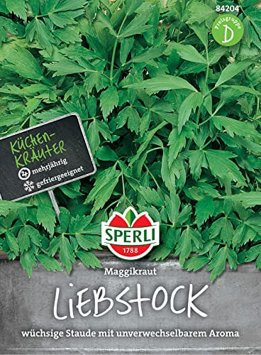 Liebstock Maggikraut, für wassertreibende Teemischungen Magen- und Blutreinigungstees