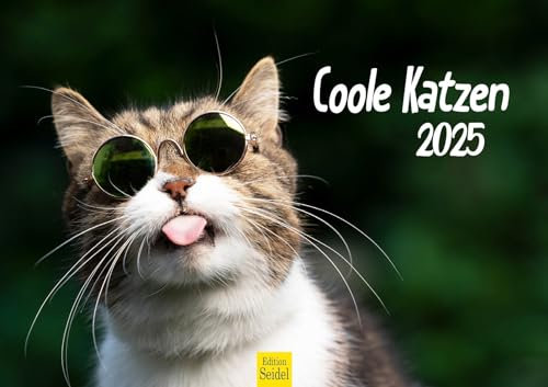 Edition Seidel Premium Kalender Coole Katzen 2025 Format DIN A3 Wandkalender Katzenkalender Haustiere Kätzchen Katze Kater lustige Sprüche