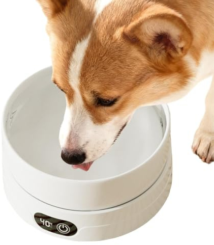 Heizbarer Futternapf Für Hunde, 16w 700 Ml Beheizter Frostschutz Wassernapf Für Haustiere Mit 4 Temperaturstufen, rutschfest, Für Welpen, Eichhörnchen, Kaninchen, Vögel Und Katzen