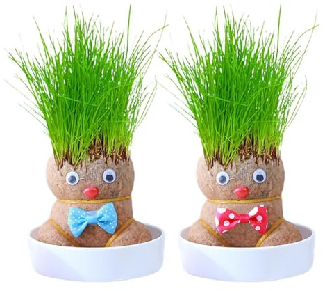 Generico Lot de 2 têtes de croissance - plante pour poupées avec tête de poupée, plante de poupées avec tête d'herbe en croissance, plantes de bonsaï pour poupées avec tête d'herbe, mini poupées avec