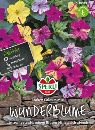 Sperli Wunderblume Broken Colours Mix