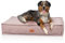 Knuffelwuff Hundekissen Lesedi aus Cord mit Handwebcharakter 80x60cm Rosa - Abnehmbarer Bezug - waschbar - für große, mittelgroße und kleine Hunde