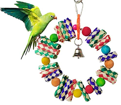 Litewoo Bird Chew Swing Toy with Bell for Parrot Cage