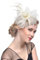 Fascinator Hat for Women Ladies Feather Flower Fascinator on Headband Hairclips Wedding Fascinators Tea Party Hat Flapper Pillbox Ascot Race Headwear Beige