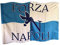 NARAMAKI® Bandiera del Napoli 90x150cm Stampa Forza Napoli- Materiale Poliestere - Leggera - Bandiera con Passante per Asta - Tifo