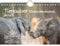 Tierzauber Elefantenbabies DIN A5 Wandkalender für 2025 Elefanten Babys - Inhalt: 1x Kalender 1x Weihnachtsanhänger 1x Grußanhänger (gesamt 3 Teile)