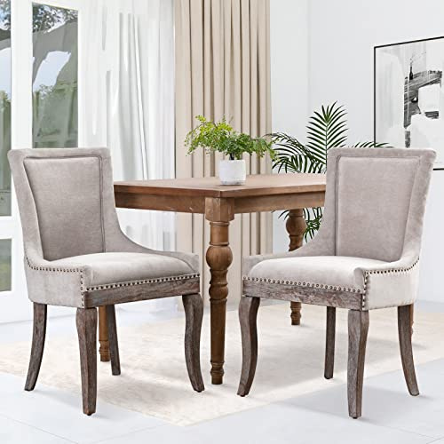 SoarFlash Ensemble de 2 chaises de Salle à Manger tapissées, Velours Nuage avec Garniture à têtes de Clou, Pieds en Bois incurvés élégants dégradés, adaptées à Cuisine et Salle à Manger, Beige