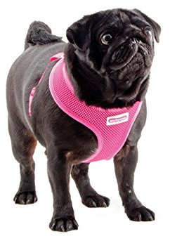 Ancol Hundegeschirr, Netzstoff