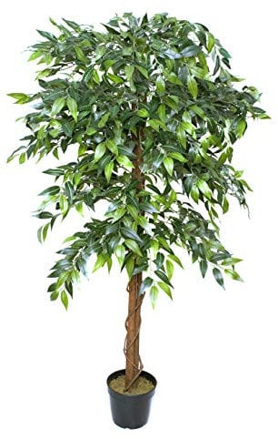 GreenBrokers Ficus Artificiel de qualité supérieure - Figuier pleureur - 160 cm - Plante en Pot - Vert - 160 cm