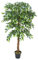 GreenBrokers Premium Artificial Ficus Weeping Fig Tree 160 cm/ 5 ft Potted Plant, Green, 160cm