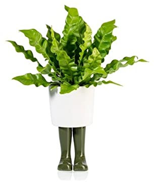 Bitten Gummistiefel Mini Blumentopf in grün